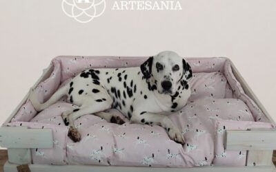 ¿Quieres saber por qué es importante que tu perro tenga su propia cama en casa?